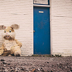 无需注册登录的ddos在线攻击